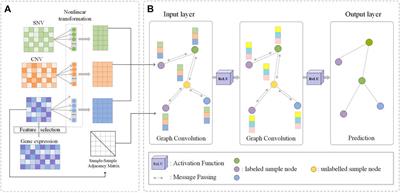 Molecular Subtyping of Cancer Based on Robust Graph Neural Network and Multi-Omics Data Integration